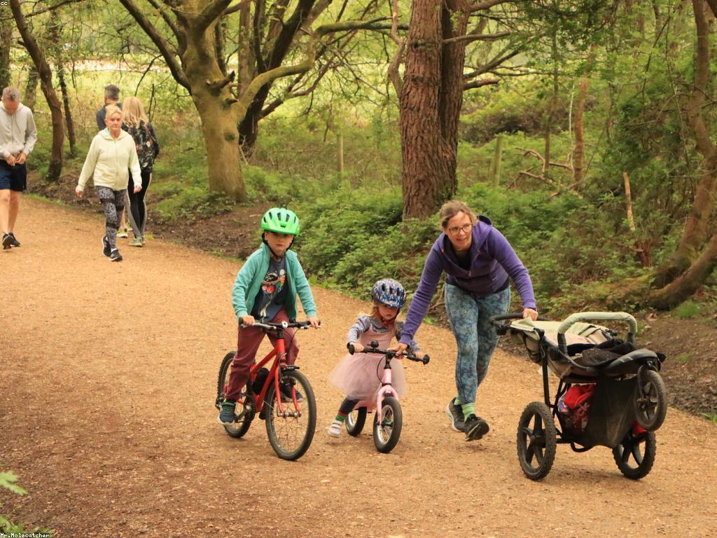 ការប្រកួត និងព្រឹត្តិការណ៍សំខាន់ៗនៅកម្ពុជា